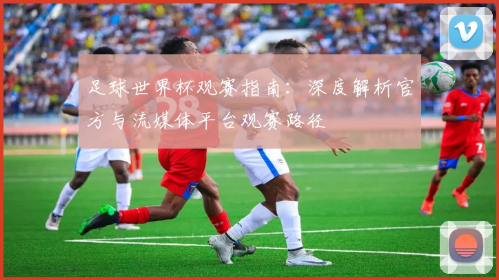 足球世界杯观赛指南：深度解析官方与流媒体平台观赛路径