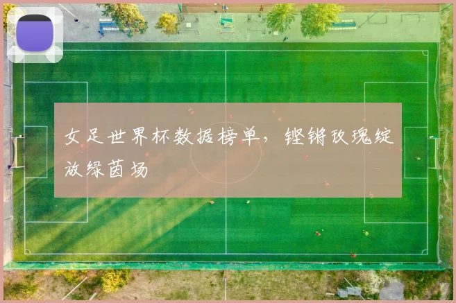 女足世界杯数据榜单，铿锵玫瑰绽放绿茵场